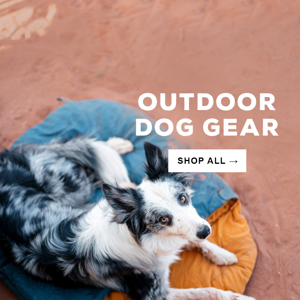 Outdoor dog gear best sale