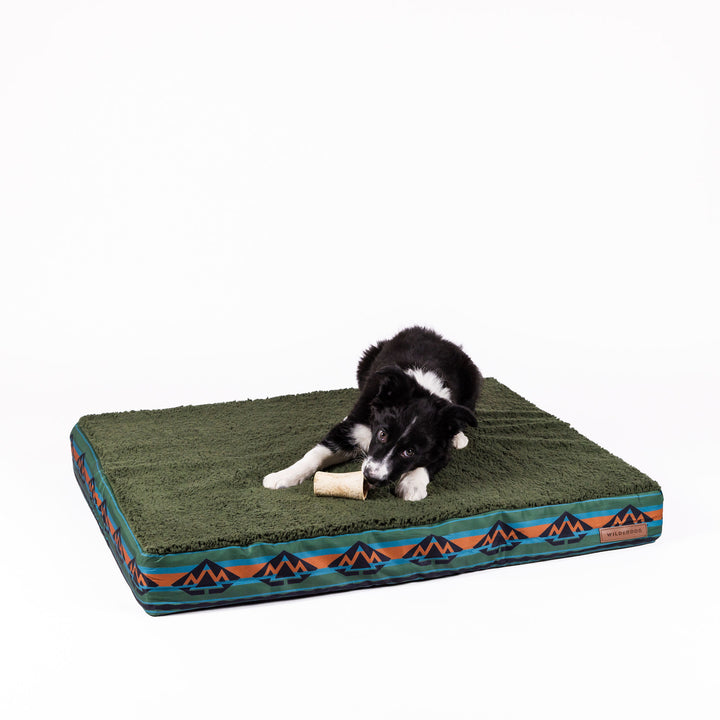 Memory foam dog bed best sale