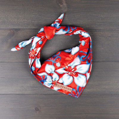 The Aloha Bandana features a beautiful red and white floral pattern and is seen neatly tied in a knot, lying on a dark wooden surface. A small tag on the bandana reads "Wilderdog." Perfect for trail dog accessories, this stylish piece ensures your adventure pup stays fashionable.