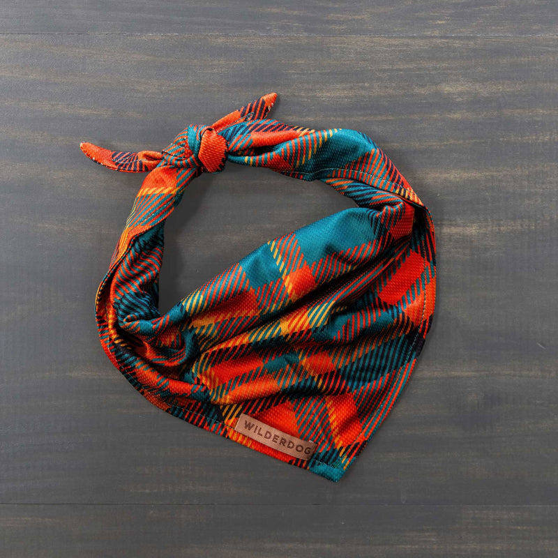 The Pumpkin Spice Plaid Bandana, a vibrant, multi-colored accessory woven with rich hues of red, orange, blue, and green, is neatly folded with a knot tied at one end. This fall dog essential features a small label sewn onto it bearing the brand name "Wilderdog." It rests on a dark wooden surface.