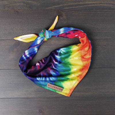 A brightly colored Tiedye Bandana with a mix of blue, purple, green, yellow, and red hues is tied in a knot. The cooling bandana features a small tag with the brand name "WILDERDOG" on it. Perfect for the trail, it sits on a dark wooden surface.