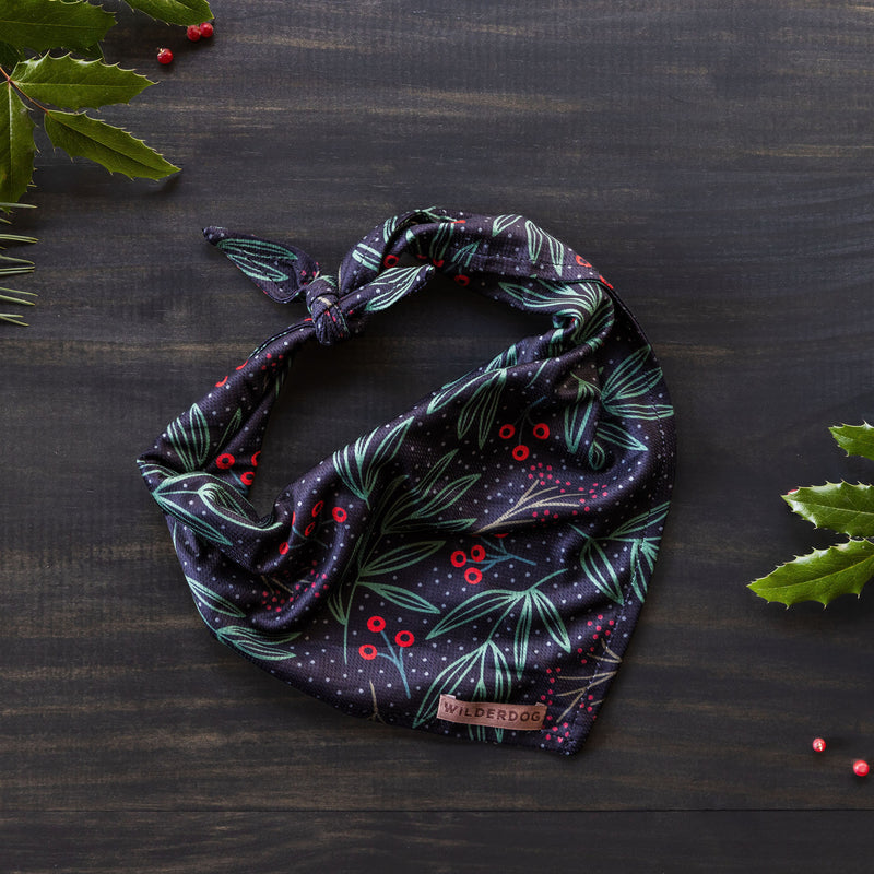 The Holly Bandana is a dark-colored accessory, ideal for keeping pets cool. It showcases a festive pattern of holly and berries and is neatly folded on a wooden surface. Green holly leaves and red berries frame the left and bottom-right corners of the display, while a small tag with "Wilderdog" signifies its high-quality dog trail gear origins.