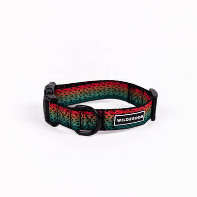 Presenting the "Trout Ultralight Collar" – a vibrant dog collar showcasing a stunning gradient pattern in red, green, and yellow. This collar boasts an ultralight nylon webbing design, equipped with a durable plastic clip and a black metal D-ring for added strength. The brand name "Wilderdog" is prominently displayed on a stylish black and white label against a plain white background.