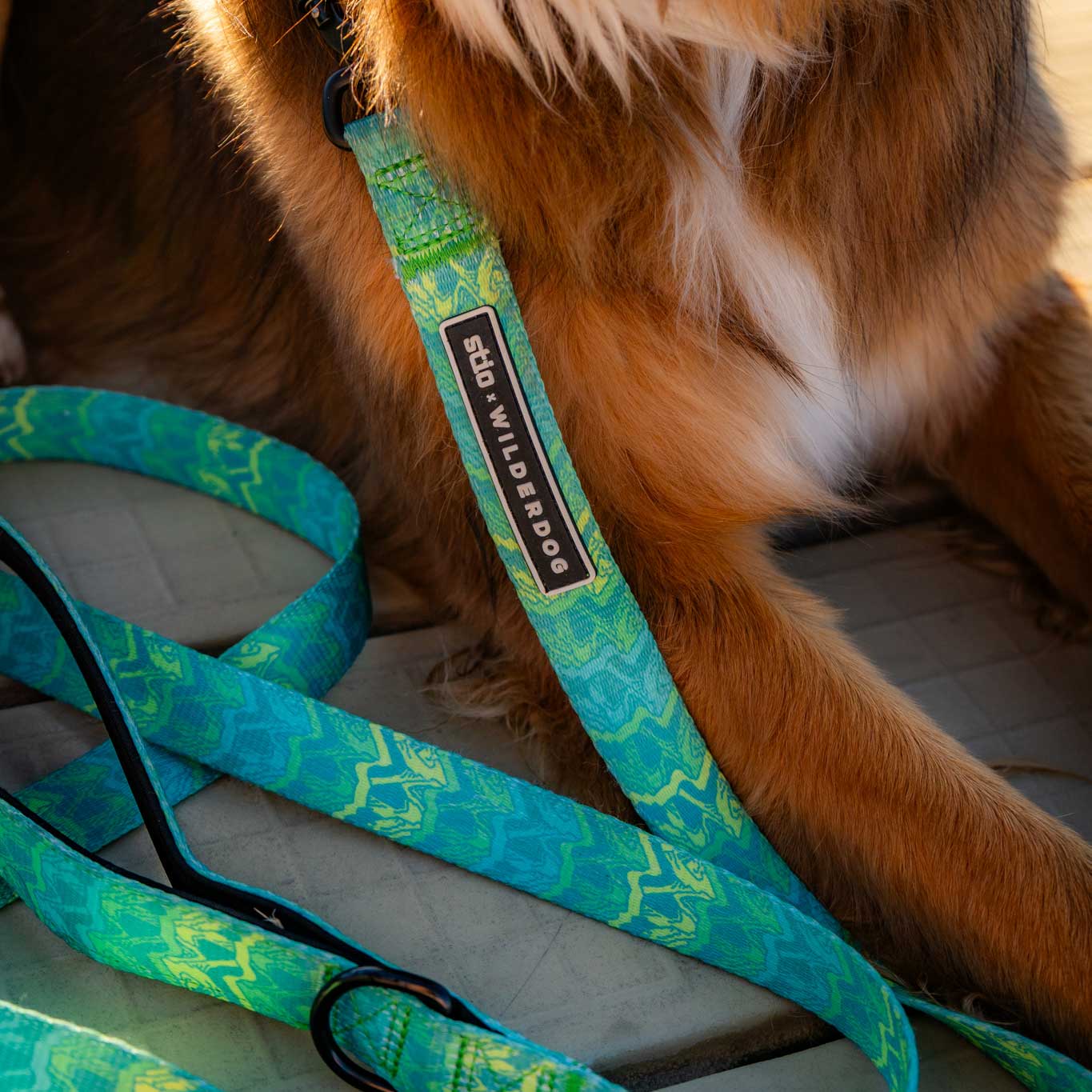 Close-up of a dog's chest and front legs lying down with a Wilderdog x Stio Ultralight Leash attached to its collar. The colorful green and blue leash, featuring Teton-inspired designs, has a black tag that reads "Wilderdog." The dog has brown fur with white patches. The leash rests on a tiled surface.