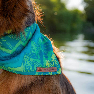 Close-up of an energetic pup's neck adorned with a vibrant blue and green bandana showcasing a topographic design, from the Wilderdog x Stio series. The bandana features a small brown tag inscribed with "Wilderdog x Stio." The blurred background reveals water and lush greenery, suggesting an outdoor environment.