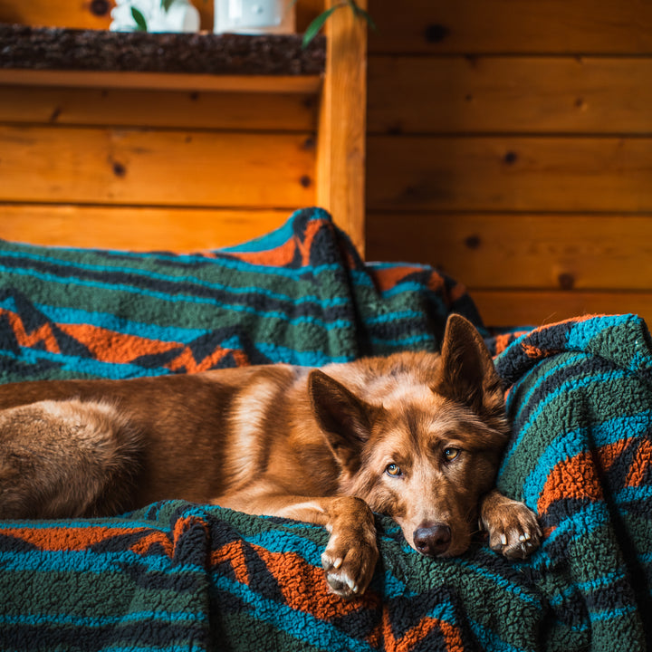 Fleece Throw factory Blanket, Fleece Blanket, Sherpa Backed Blanket, Deer Throw, Plaid Wildlife Blanket, Dog Blanket