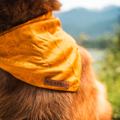 Close-up view of a dog's neck and shoulder wearing a mustard bandana with a "Wilderdog" tag, perfect for dog trail adventures. The background features a blurred, natural landscape with hills and greenery, suggesting an outdoor setting.