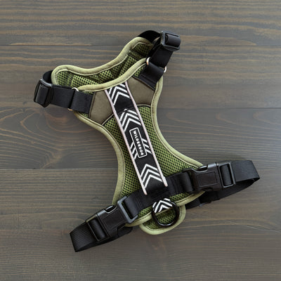 Green and black harness with mesh fabric, adjustable straps, buckles, and a patterned central strap