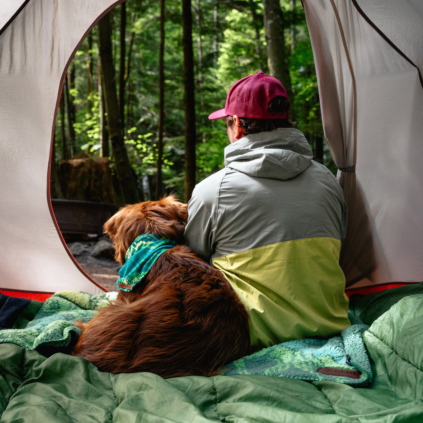 A person in a green and gray jacket, wearing a red cap, sits inside a tent looking out at a forest. A brown dog with a teal Wilderdog x Stio Bandana leans against the person. Both are seated on a green sleeping bag, facing away from the camera.