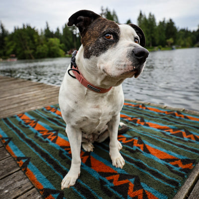 A white and brown dog sits on a Sherpa Fleece Waterproof Blanket with a colorful geometric pattern, laid out on a wooden dock by a lake. The background features dense green trees and a cloudy sky. The dog wears a light red collar and has one ear perked up curiously.