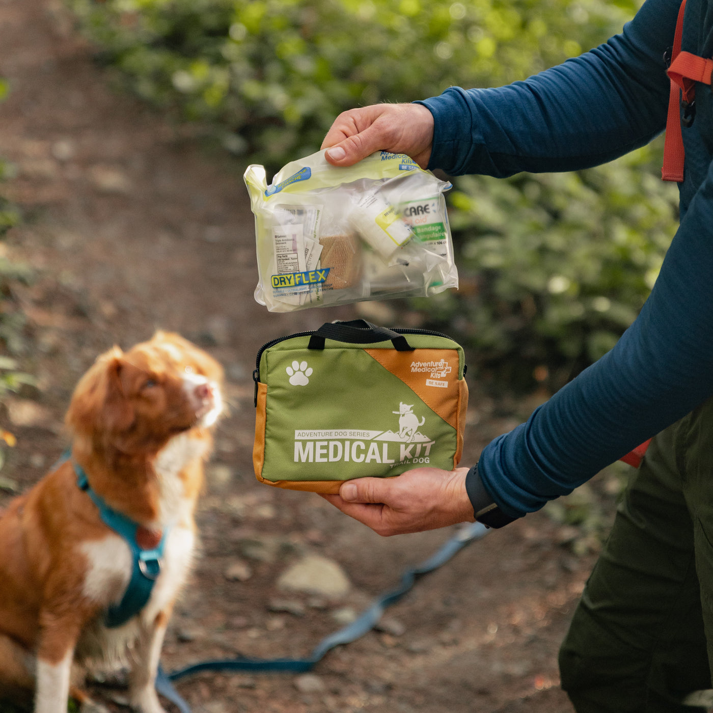 Person holds a clear bag and Trail Dog Kit. A dog in a blue harness sits on a forest trail.