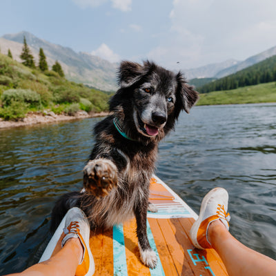 A black dog with a gray snout, wearing a Wilderdog x Stio Ultralight Collar made of lightweight nylon webbing, extends its paw towards the camera while standing on an orange paddleboard. A person's legs in white shoes are visible as they sit on the board, surrounded by a mountain lake and lush greenery under a clear, blue sky.