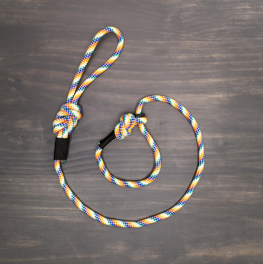 Rainbow Dog Lead  1 Inch by Belted Cow Company. Made in Maine