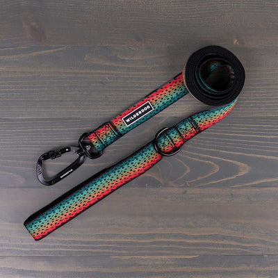 The Trout Ultralight Leash, a coiled dog leash with a multicolored gradient design in red, teal, and black, made from durable nylon webbing and featuring an aluminum carabiner clasp along with a 'Wilderdog' logo on the handle, is placed on a dark wooden surface.