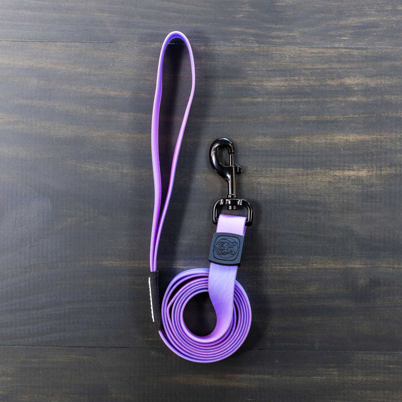 The Aurora Waterproof Leash, a coiled purple dog leash featuring a black clasp and loop handle, is laid out on a dark wooden surface. Known for its durability and sleek design, the leash boasts a smooth texture and the handle is reinforced with additional stitching.