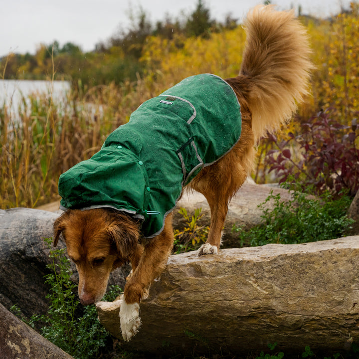 Dog rain slicker hotsell