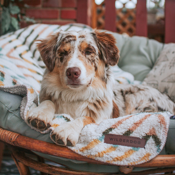 Sherpa Fleece Waterproof Blanket Wilderdog