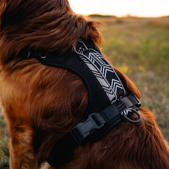 Dog Harness Wilderdog