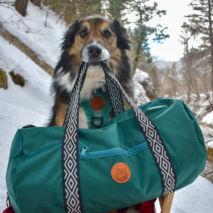 Duffle fashion bag dog carrier