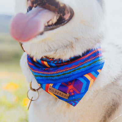 Close-up of a dog wearing a colorful, patterned Big Sky Bandana with "Wilderdog" branded on a small leather tag. The dog is panting with its tongue out, and the background is softly blurred, suggesting an outdoor trail setting.