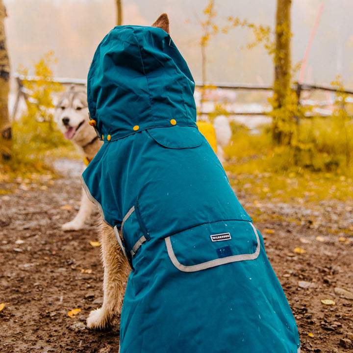 Dog Rain Jacket Wilderdog