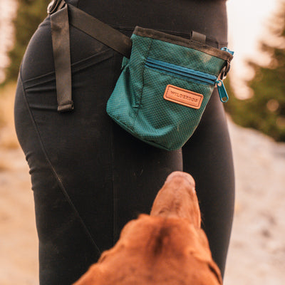 A close-up shot of a person wearing black pants and a green hip bag labeled "Dog Training Treat Pouch" with an adjustable waist strap and magnetic closure. A brown dog, partially visible in the foreground, is looking up at the person. The background features an outdoor setting with trees.