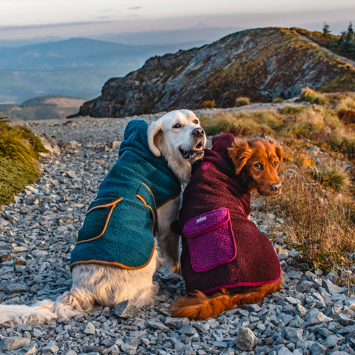 Sherpa fashion dog hoodie