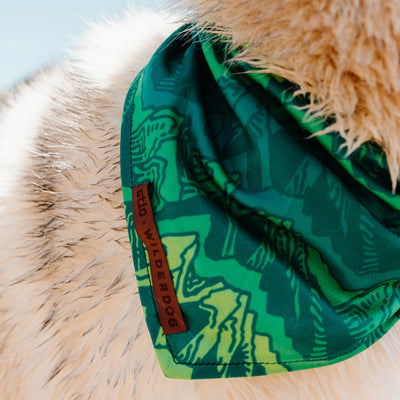 A close-up of a dog wearing a beautifully patterned green Wilderdog x Stio Bandana. The bandana has a brown tag stitched onto it, showcasing the text "WILDERDOG." The dog's light-colored, fluffy fur stands out against the light and blurred background. Perfect for active pups!