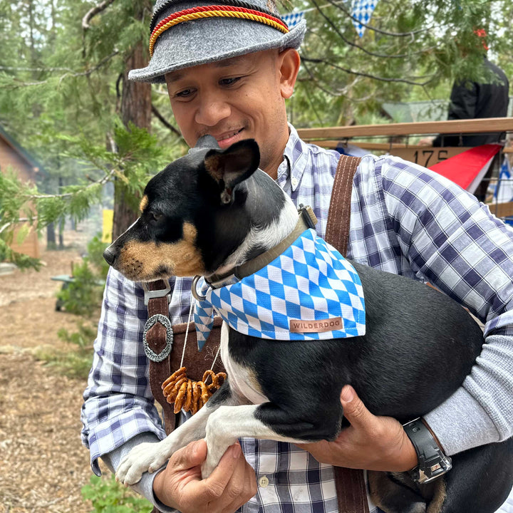 Oktoberfest dog bandana hotsell