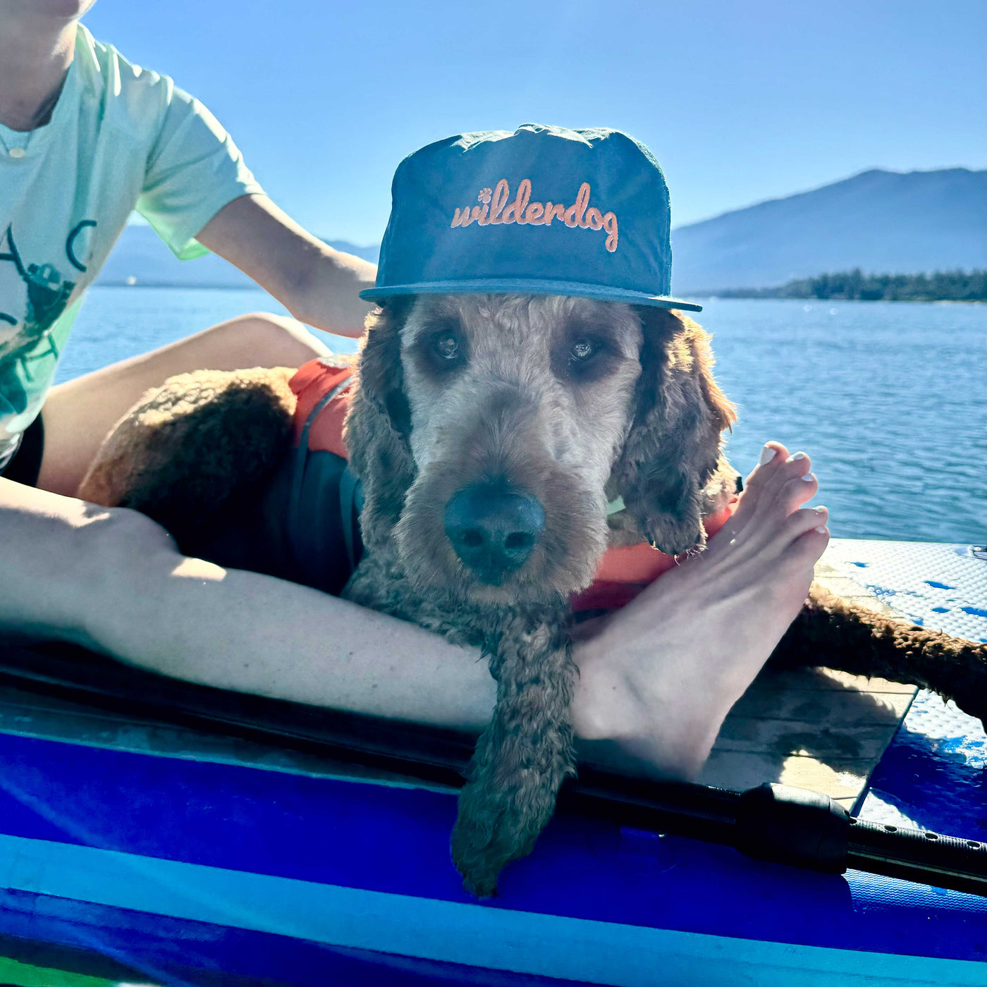 A dog wearing a Wilderdog Surf Hat lays on a paddle board made from recycled nylon, its head resting on a person's leg. The lightweight paddle board floats on a serene lake with mountains in the background under a clear blue sky, perfect for quick-dry adventures.