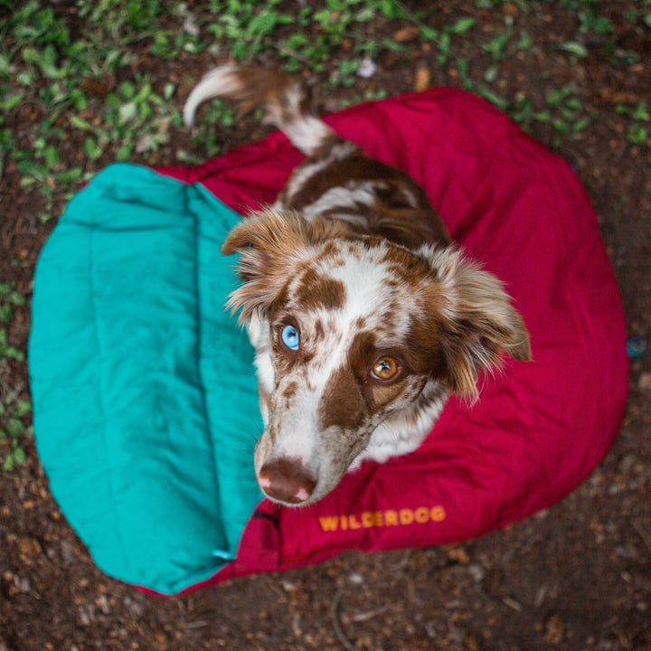 Sleeping Bag Wilderdog