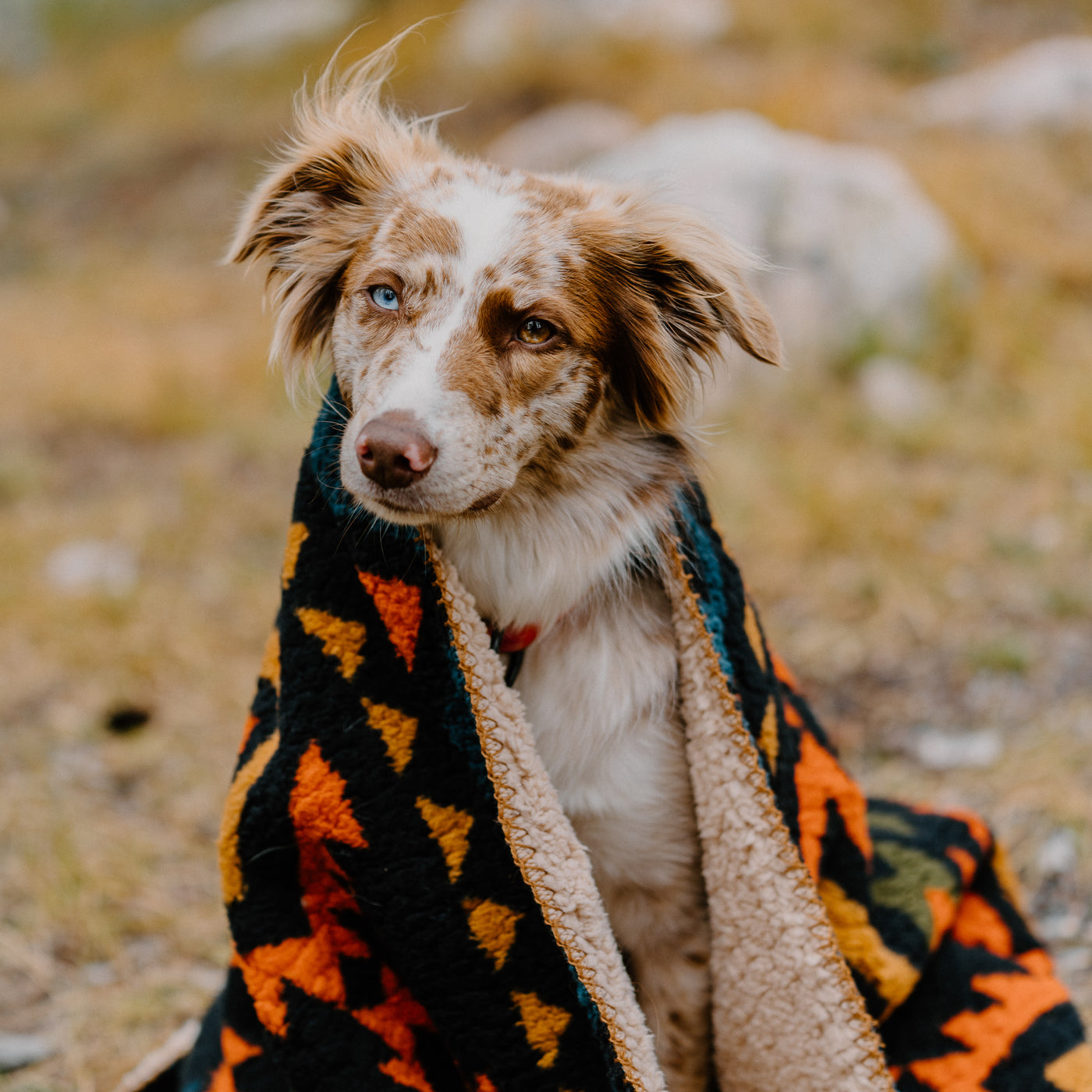 Sherpa Fleece Waterproof Dog Blanket | Small | Navy