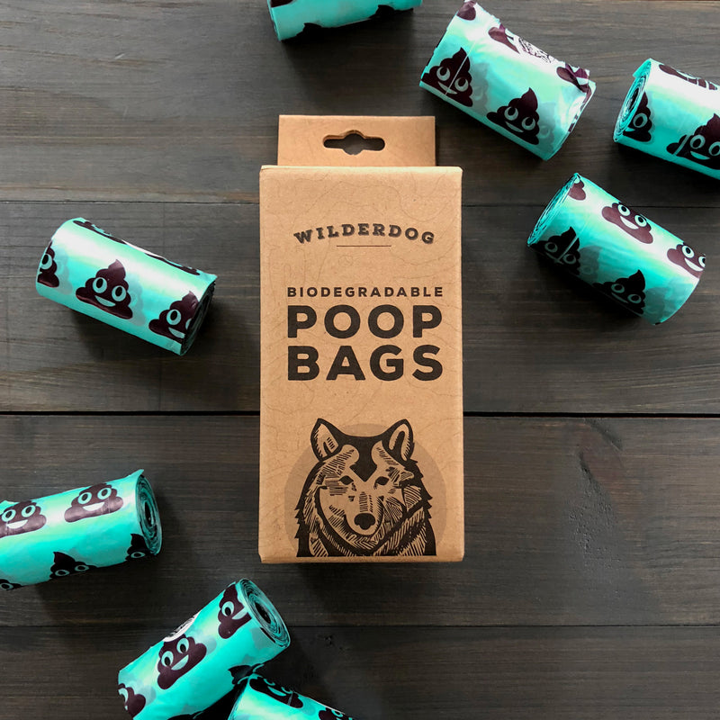 The Best Eco-Friendly Dog Poop Bags (No Greenwashing)