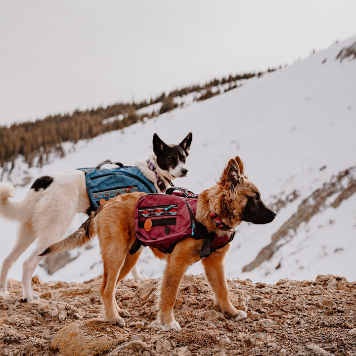 Wilderdog Dog Backpack Olive Green Medium