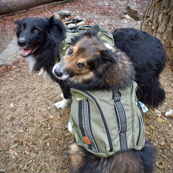 Dog backpack large breed best sale